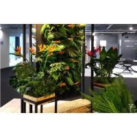 Panou Verde Artificial GENAROM GD146